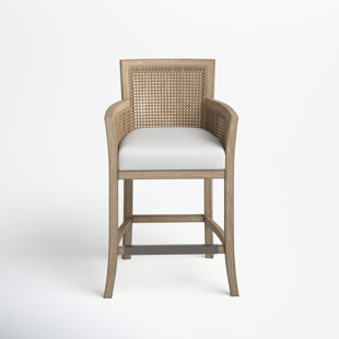 BIRCH LANE™ Farlane Counter Bar Stool