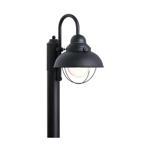 BIRCH LANE™ Audrey Seeded Lantern Head