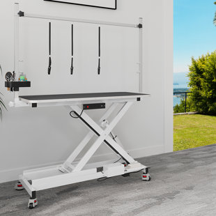 EDROSIE INC 49'' W Electric Dog Grooming Table