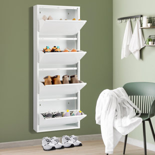 REBRILLIANT 12 Pair Shoe Storage Cabinet