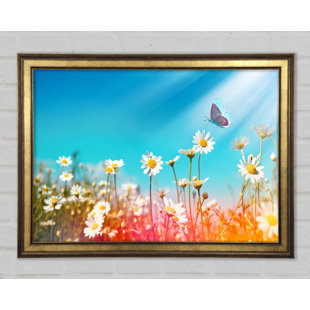 CLASSICLIVING Schmetterling landet auf einem Gänseblümchen - Einzelne Bilderrahmen Kunstdrucke