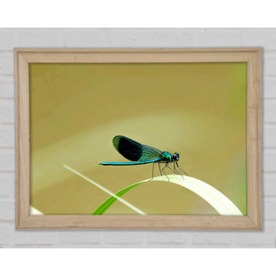 EAST URBAN HOME Leinwandbild Wings of Beauty Wildlife