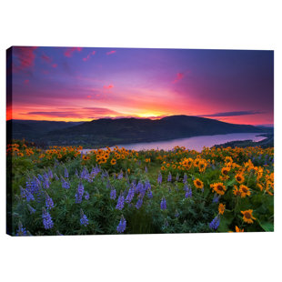 CORTESI HOME "Paradise Garden" by Jesse Estes Photographic Print on Wrapped Canvas