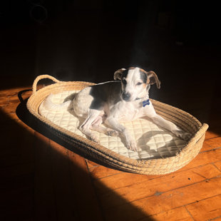 Rutledge & King Polyester Pet Bed