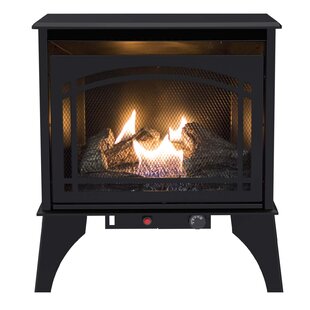 PLEASANT HEARTH 23.5'' W Ventless Stove