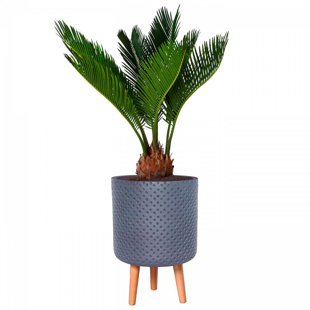 HORTICO Blumentopf aus Stein