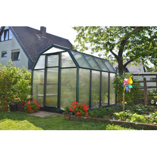 CANOPIA BY PALRAM 6 Ft W x 8 Ft D Greenhouse