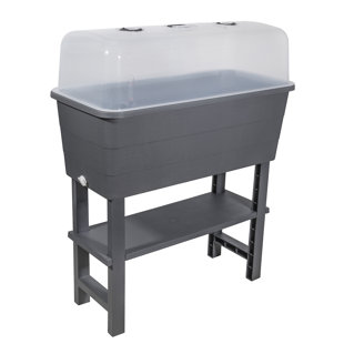 ARLMONT & CO. Shimara Raised Garden Bed