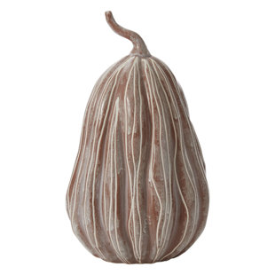 BIRCH LANE™ Ouzo Bounty Pumpkin