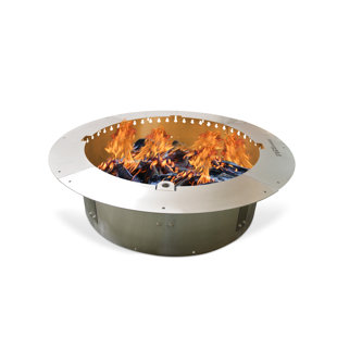 FIREBUGGZ 10'' H x 37'' W Stainless Steel Wood Burning Outdoor Fire Pit