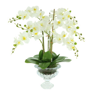 CREATIVE DISPLAYS, INC. Orchid Arrangement in Vase
