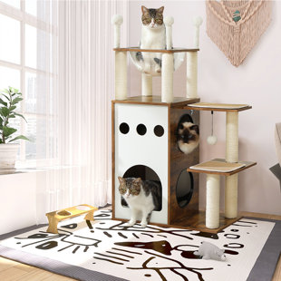 SCHNAPPI 42.5 H Tavion