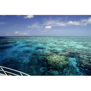 WALL ART PRODUCTION NETWORK Reef Ride - Wrapped Canvas Print