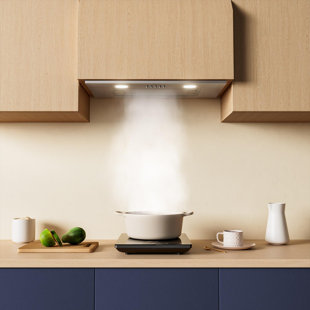 Jeremy Cass LLC 20" Stainless Steel 450 CFM Wall Range Hood with Mesh Filter