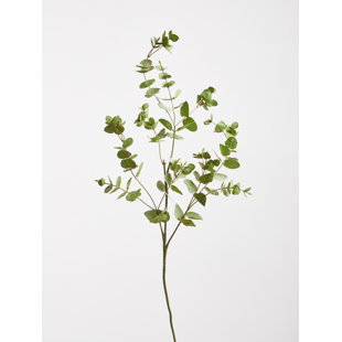 THE SEASONAL AISLE 76cm Eucalyptus Branch
