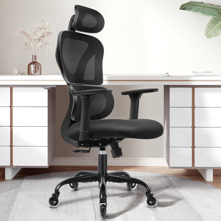 INBOX ZERO Isairis Ergonomic Office Chair with Adjustable Headrest and Armrests