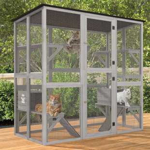 TUCKER MURPHY PET™ Eria 70.9'' H Cat Playpen Outdoor Cat Enclosures Catio