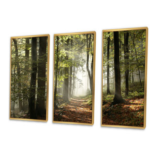 LOON PEAK® " Green Fall Forest With Sun Rays " 3 - Pieces