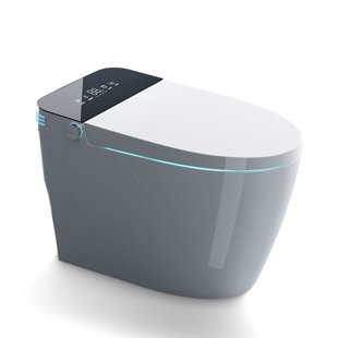 Harebell GPF Elongated Bidet Toilet (Seat Included)