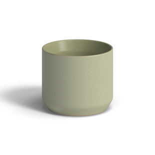 ALLMODERN Parsons Handmade Ceramic Pot Planter (Set of 6)