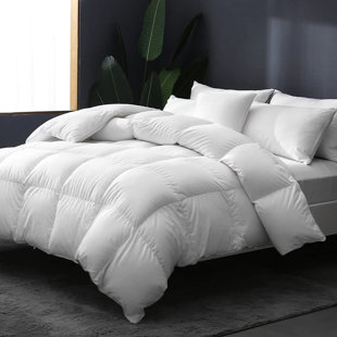 ALWYN HOME All Season Goose Feathers Down Comforter Luxury 100% Organic Cotton, 650 Fill Power