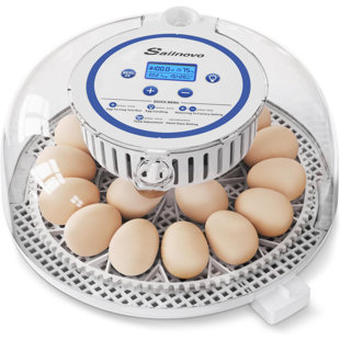 DREAMDWELL HOME 18 Egg Incubators with Display, Hatch Days, Humidity Level, Automatic Turning & Stop, Egg Candler