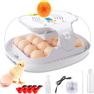 DREAMDWELL HOME 16 Chicken Egg Incubators with Auto Water Replace,Automatic Egg Turning,Temp Control,Egg Candler