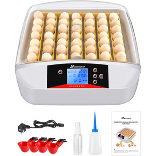 DREAMDWELL HOME 55 Eggs Automatic Incubator Temperature Control & Humidity Display, 4 Water Feeders