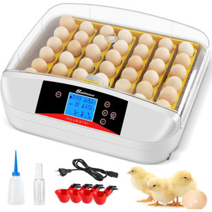 DREAMDWELL HOME 42 Egg Incubator with 4 Water Feeders Automatic Turner, Temperature Control&Humidity Display Alarm