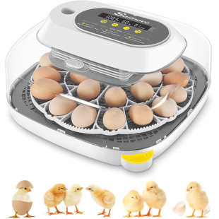 DREAMDWELL HOME Chicken Egg Incubator for up to 20+ Eggs