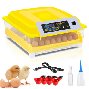 DREAMDWELL HOME 48 Egg Incubator Automatic with Automatic Egg Turning and Humidity Display Temperature Control