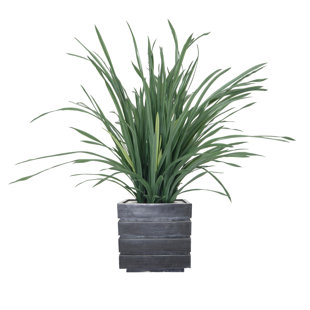 VINTAGE HOME 42'' Faux Lemon Grass Grass in Planter