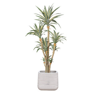 VINTAGE HOME 102'' Faux Agave Tree