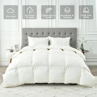ALWYN HOME All-Season Feather Down Comforter 100% Cotton Cover Warm Weather Bed Quilt 750 FP (White)