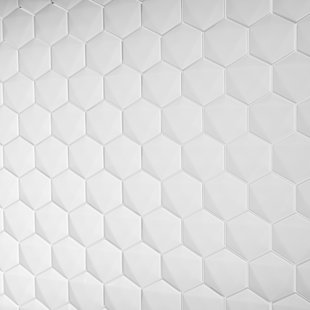 THOMAS AVENUE CERAMICS 2.5" x 2.5" Hexagon Mosaic Wall and Backsplash Tile