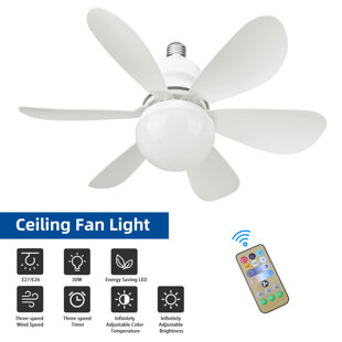 Biyori Ceiling Fan with Light 3-Speed Brushless Motor Remote Control Chandelier Fans