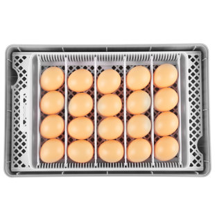 DREAMDWELL HOME Chicken Egg Incubator for up to 20+ Eggs