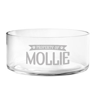 SUSQUEHANNA GLASS Personalized Property of Dog Bowl