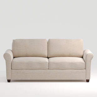 WAYFAIR CUSTOM UPHOLSTERY™ Demetrius 79'' Upholstered Sleeper Sofa