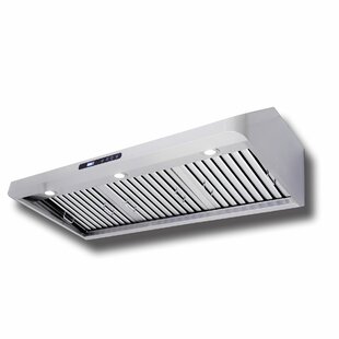 PROLINE RANGE HOODS 48" 900 CFM Ducted Under Cabinet Range Hood in Brushed stainless steel