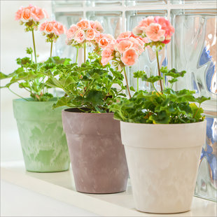 HUAJIN LILONG POT PLANTER New Yayi Series 3 Colors High-end Design Round Plastic Pot Planter (Set of 3) (Set of 3)