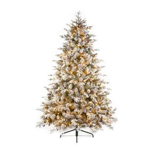 NATIONAL TREE COMPANY 2m Pre-lit Snowy Dorchester Pine