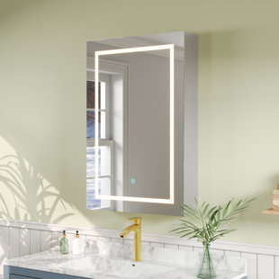 DEERVALLEY 24'' W x 36'' H LED Lighted Wall Mounted Medicine Cabinets with Mirror and 2 Adjustable Shelves