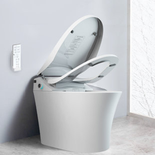 LUCKYREMORE GPF Elongated Bidet Toilet (Seat Included)