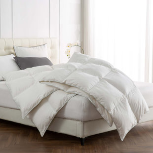 ALWYN HOME All Season Goose Down Comforter, 750In³/Oz Fill Power