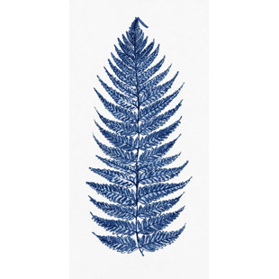 YOFFI Blue Fern " Blue Fern 1 "