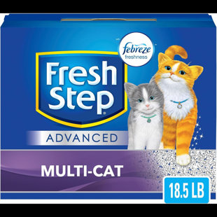 COZY OASIS Clay Air Filter