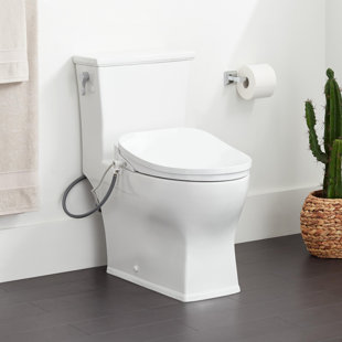 SIGNATURE HARDWARE Carraway 1.28 GPF One Piece Elongated Chair Height Toilet