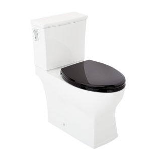 SIGNATURE HARDWARE Carraway 1.28 GPF Two Piece Elongated Toilet