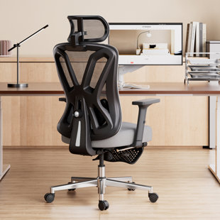 INBOX ZERO Gershon Hbada P5 Ergonomic Office Chair with Comfortable Cushion and Reclining Computer Chair